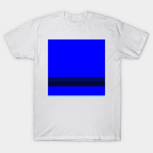 A scarce amalgam of Sky Blue, Primary Blue, Dark Imperial Blue and Cetacean Blue stripes. T-Shirt